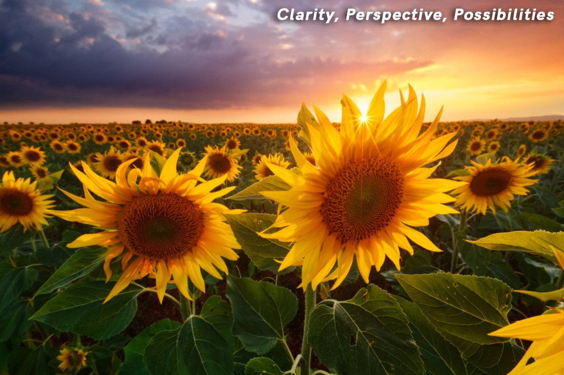 Clarity, Perspective, Possibilities image of sunflowers